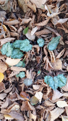 20181031_095556.jpg