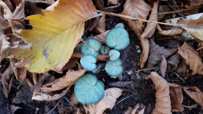 20181031_095521.jpg