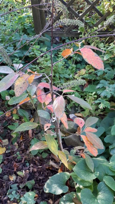 20181031_081539.jpg