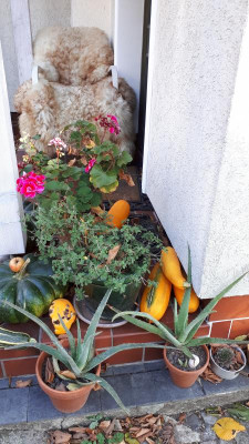 20181031_095854.jpg