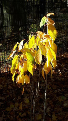 20181031_100221.jpg