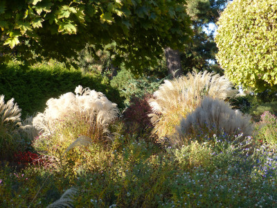 2018-10-31 Foerstergarten 1.jpg