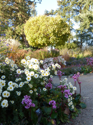 2018-10-31 Foerstergarten 2.jpg