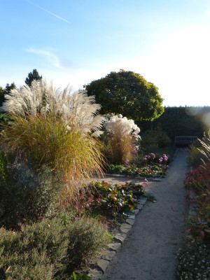 2018-10-31 Foerstergarten 3.jpg