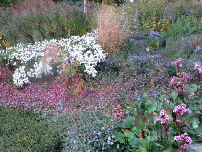 Foerstergarten_7461 - Arbeitskopie 2.jpg