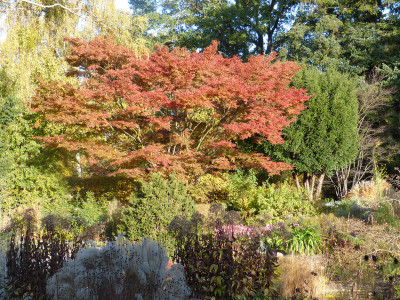 2018-10-31 Foerstergarten 5.jpg