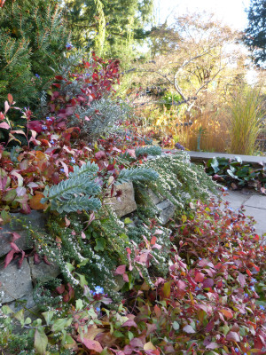 2018-10-31 Foerstergarten 8.jpg