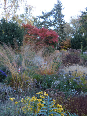 2018-10-31 Foerstergarten 13.jpg