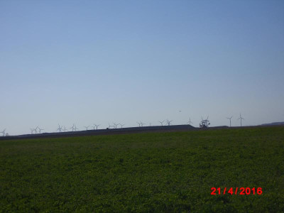 DSCI0224.JPG