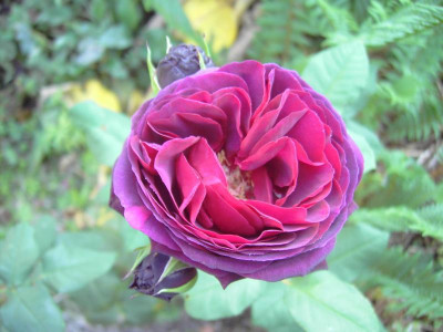 PICT2368.JPG