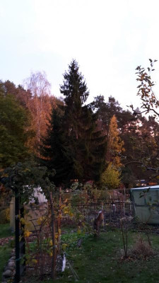 20181101_163527.jpg