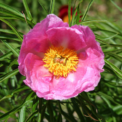 1355_500.jpg