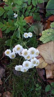 20181031_081443.jpg