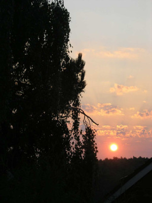 Sonnenaufgang-4_8_04.jpg