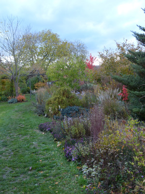 2018-11-02 Gartenimpressionen 2.jpg