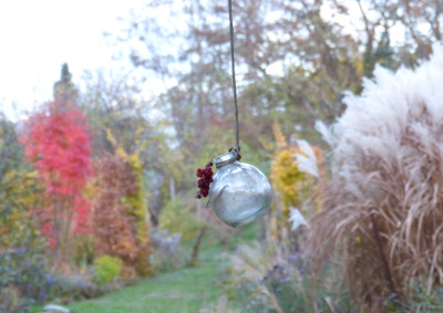 2018-11-02 Gartenimpressionen 3.jpg