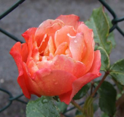 2007_05_08_orange_sunset.jpg