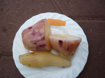 P1050345.JPG