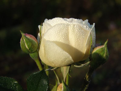 03.11.2018 10-31-54_7743.jpg