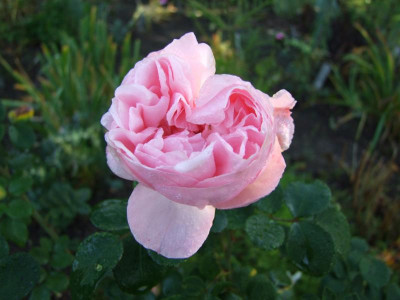 03.11.2018 10-32-20_7754.jpg