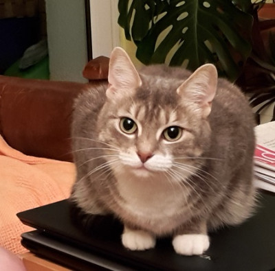 20181103_203027.jpg