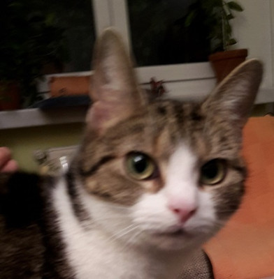 20181103_203057.jpg