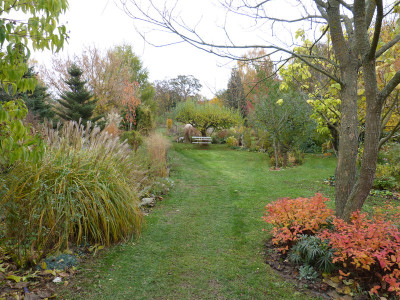 2018-11-03 Garteneinblick 2.jpg
