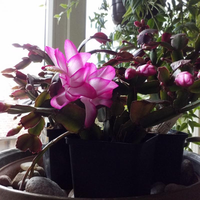 20181105_081500.jpg