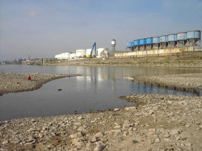 PICT2448.JPG