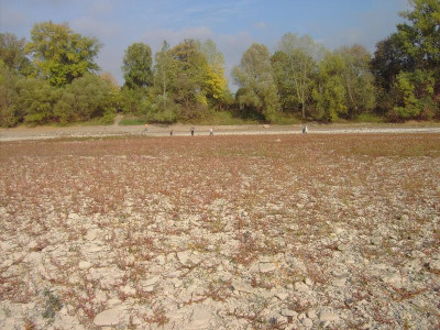 PICT2405.JPG