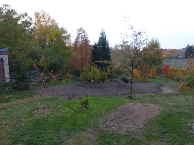2018-11-05 Birkenhain 3.jpg