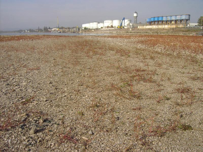 PICT2408.JPG