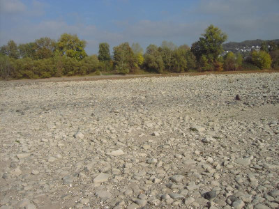 PICT2413.JPG
