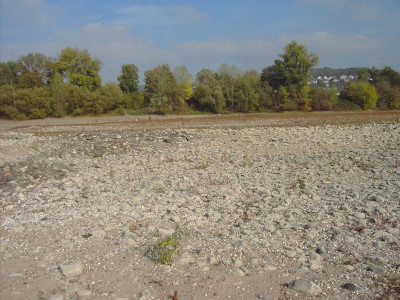 PICT2427.JPG