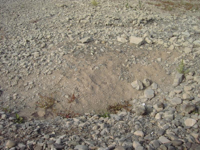 PICT2432.JPG