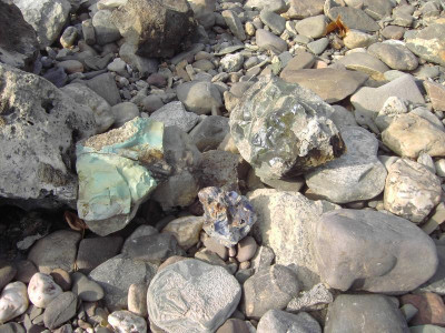 PICT2437.JPG