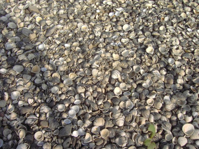 PICT2444.JPG