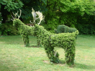 Ettenbuehler_Maerchenwiese.jpg