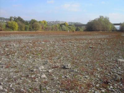 PICT2440.JPG