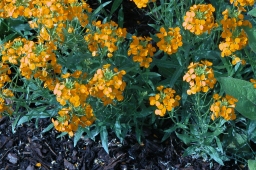 DSCN65001.JPG