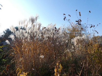 P1040629.JPG