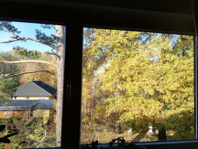 IMG_20181107_102331.jpg