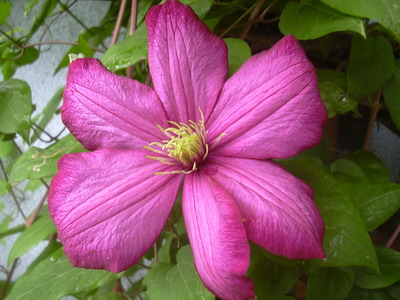 clem.mai_019.jpg