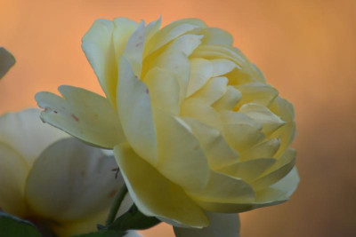 novemberbilder18 011.JPG
