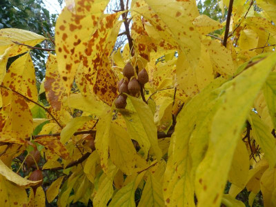 P1020457.JPG