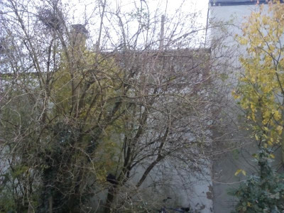 IMG_20181109_110855.jpg