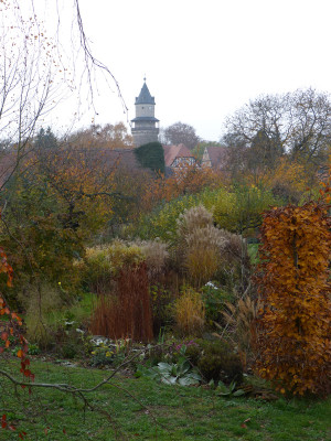 2018-11-09 Garteneinblick 1.jpg