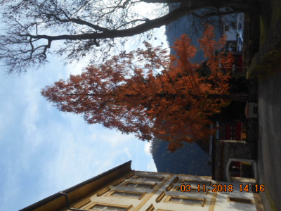DSCN5209.jpg