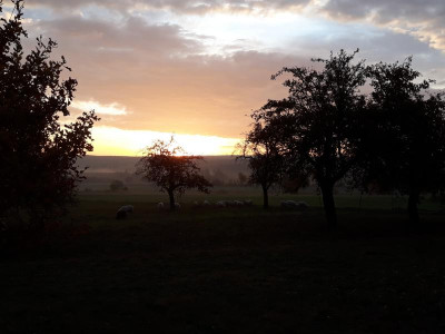 sonnenaufgangnovember18.jpg