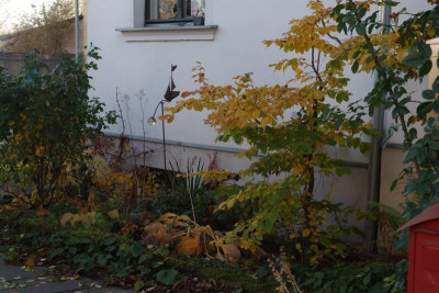 IMGP2759.JPG
